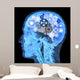 Intellectual thinker , Human xray with gears for brains Wall Mural