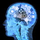 Intellectual thinker , Human xray with gears for brains Wall Mural