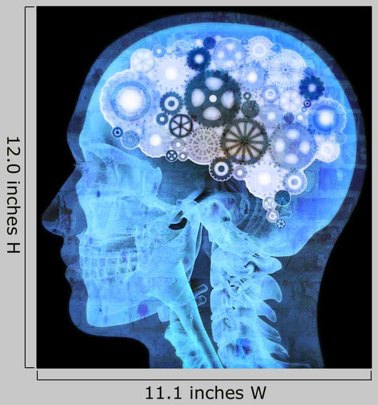 Intellectual thinker , Human xray with gears for brains Wall Mural