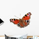 Papillon Détouré Wall Decal