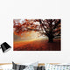 Alone Tree Autumn Park