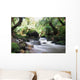 Jungle - Waterfall - waterfall Wall Mural