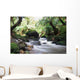 Jungle - Waterfall - waterfall Wall Mural