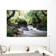 Jungle - Waterfall - waterfall Wall Mural