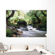 Jungle - Waterfall - waterfall Wall Mural