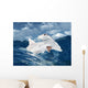 Hammerhai Wall Mural