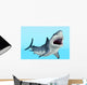 Great White Shark