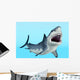 Great White Shark