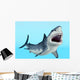 Great White Shark