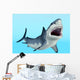 Great White Shark