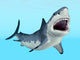 Great White Shark