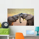 Elephants Touching Each Other Gently (greeting) Wall Mural