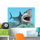 Great White Shark
