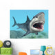 Great White Shark