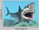 Great White Shark