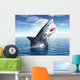 White Shark