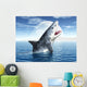 White Shark
