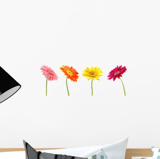 Colorful Gerbera Daisys Wall Stickers