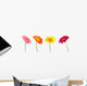 Colorful Gerbera Daisys Wall Stickers