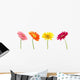 Colorful Gerbera Daisys Wall Decal