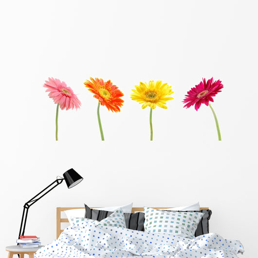 Colorful Gerbera Daisys Wall Decal