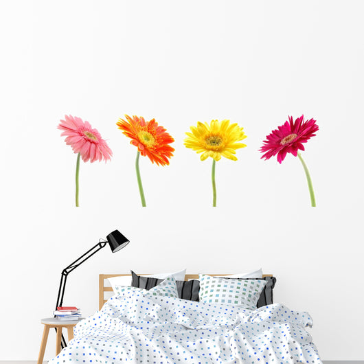 Colorful Gerbera Daisys Wall Decal