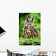 Eagle Owl Wall Mural