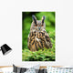Eagle Owl Wall Mural