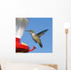 Female Ruby-throated Hummingbird flying by feeder. Blue sky. Wall Mural