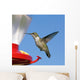 Female Ruby-throated Hummingbird flying by feeder. Blue sky. Wall Mural