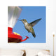 Female Ruby-throated Hummingbird flying by feeder. Blue sky. Wall Mural