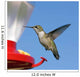 Female Ruby-throated Hummingbird flying by feeder. Blue sky. Wall Mural