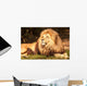 Lion King
