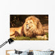 Lion King