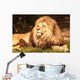Lion King