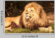 Lion King