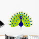 Peacock Cartoon Wall Decal