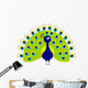 Peacock Cartoon Wall Decal