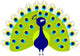 Peacock Cartoon Wall Decal