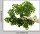 Green Leaf White with Wall Decal