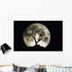 Moon with Stars Wall Mural