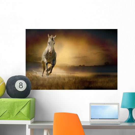 White Horse Sunset