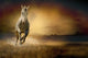 White Horse Sunset