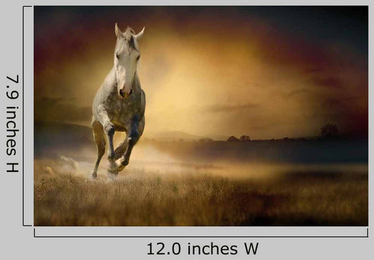 White Horse Sunset