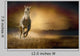 White Horse Sunset