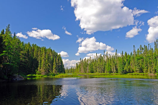 Late Afternoon Canoe Country