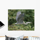 Great Blue Heron in Flight Wall Mural