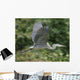 Great Blue Heron in Flight Wall Mural