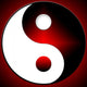 Yin-Yang Wall Mural