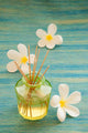 Bottle of fragrance reeds diffuser. Wall Mural